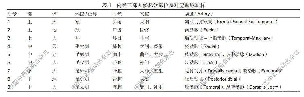 经脉的科学依据及三部九候新释 经脉的科学依据及三部九候新释