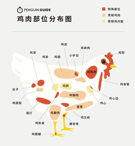 日式燒鳥裡的提燈到底是什麼？