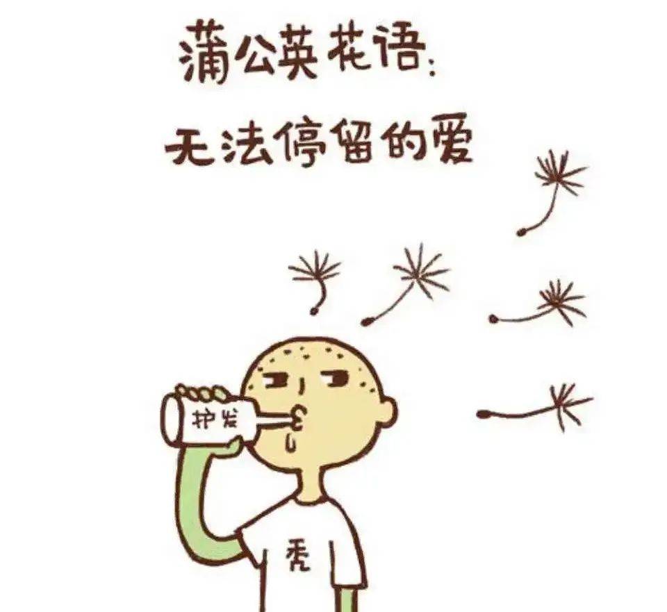 幽默笑話：蒲公英的花語和頭發不得不說的故事