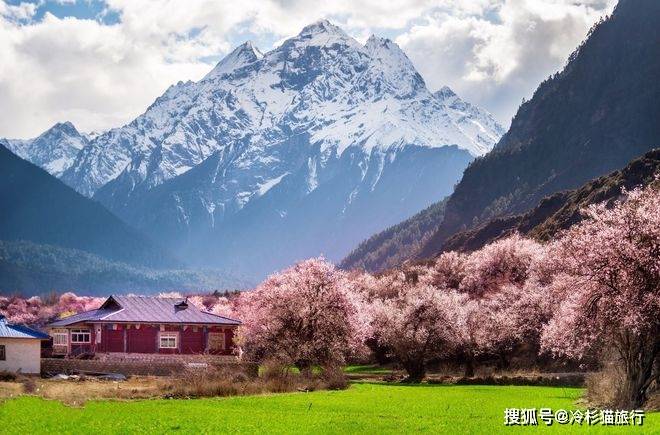 中國春天适合自駕的6條線路，3月沿途美成天堂，看到第一條就想出發