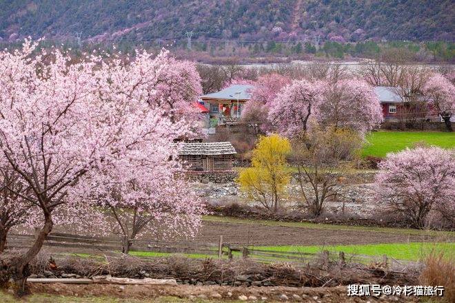 中國春天适合自駕的6條線路，3月沿途美成天堂，看到第一條就想出發