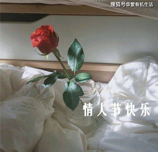 情人節送女朋友什麼禮物好？2023情人節送老婆女朋友禮物推薦