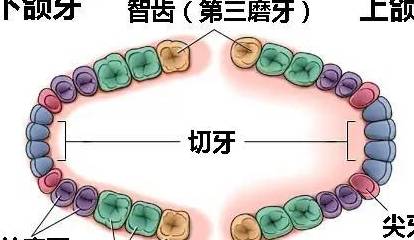 拔錯牙落到咱頭上