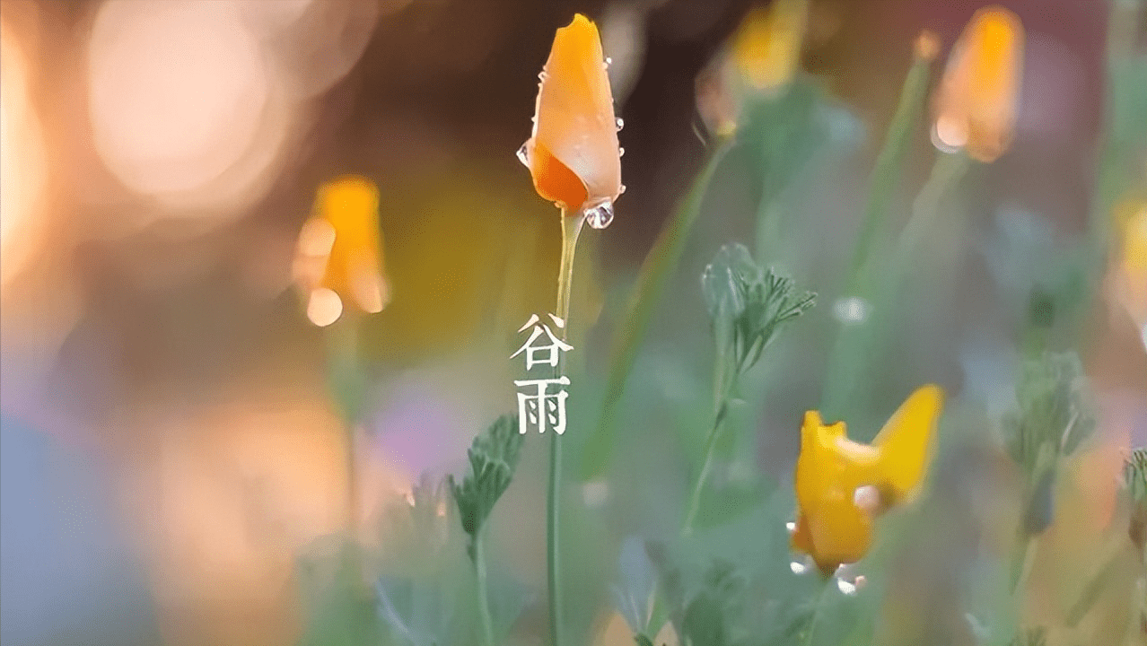 谷雨節氣｜享受最後一抹春意，5首詩詞帶你感受最美春光