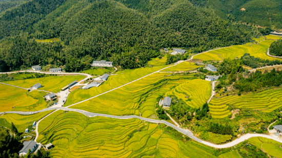 【水文化】走向世界的美麗明珠 ——寫在上堡梯田入選世界灌溉工程遺産之際