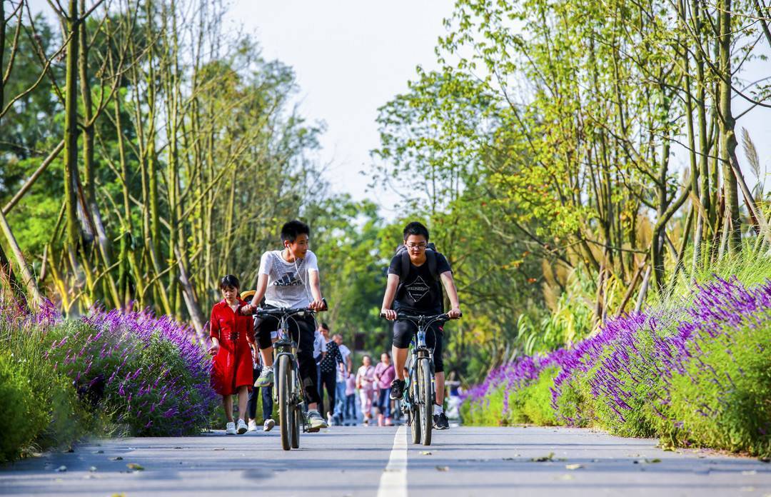 “五一”遊成都｜四大主題線路“收藏”公園城市最美春天