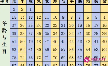 3、年是属什么年