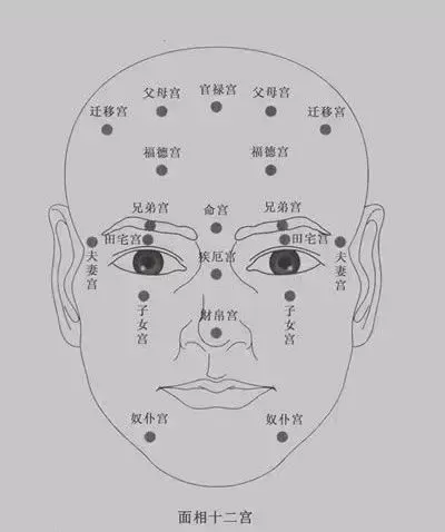 面相学图解女人_面相学五官分析_面相学