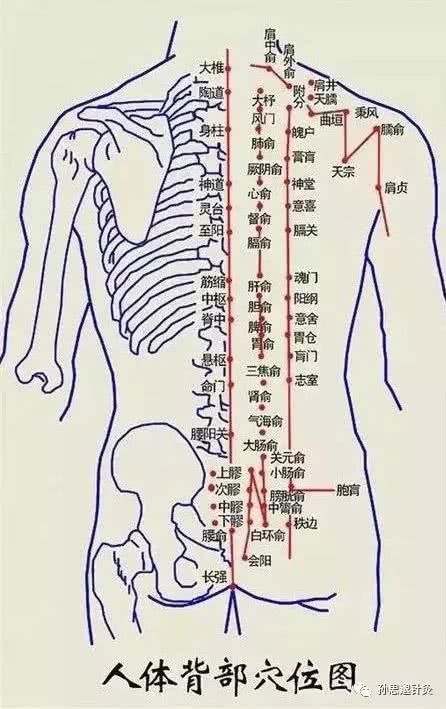 疏通這條線，很多疾病自然也就消失了！