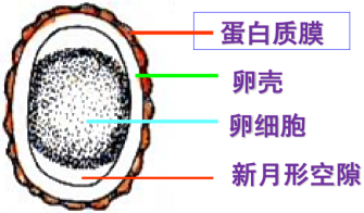 關于寄生蟲，從入門到精通，這一篇就夠了！