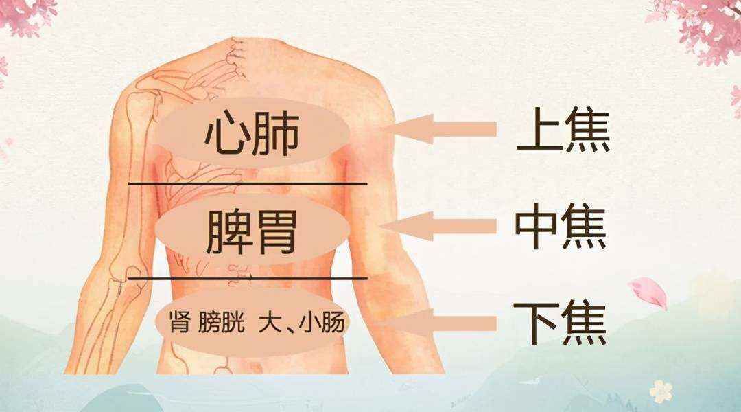 吴鞠通的学术主张
