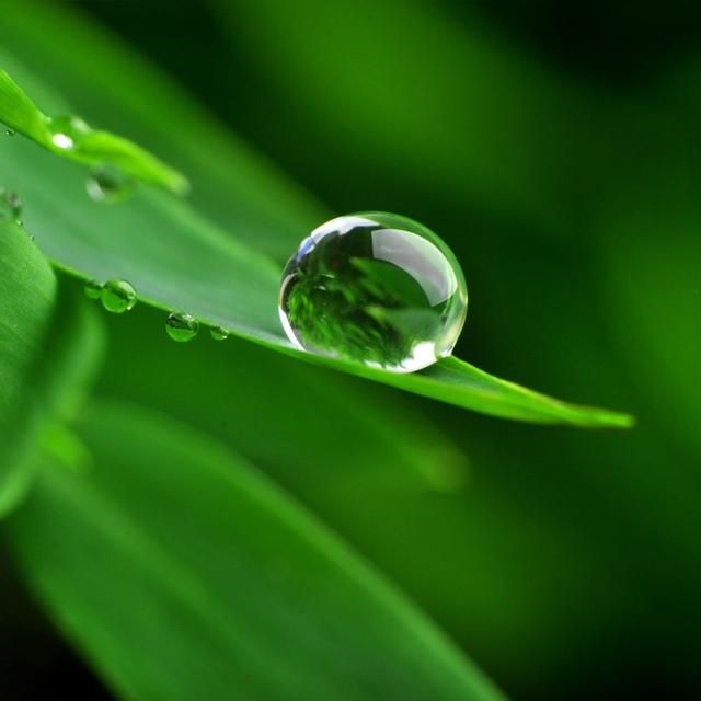 名医张锡纯巧用白虎汤