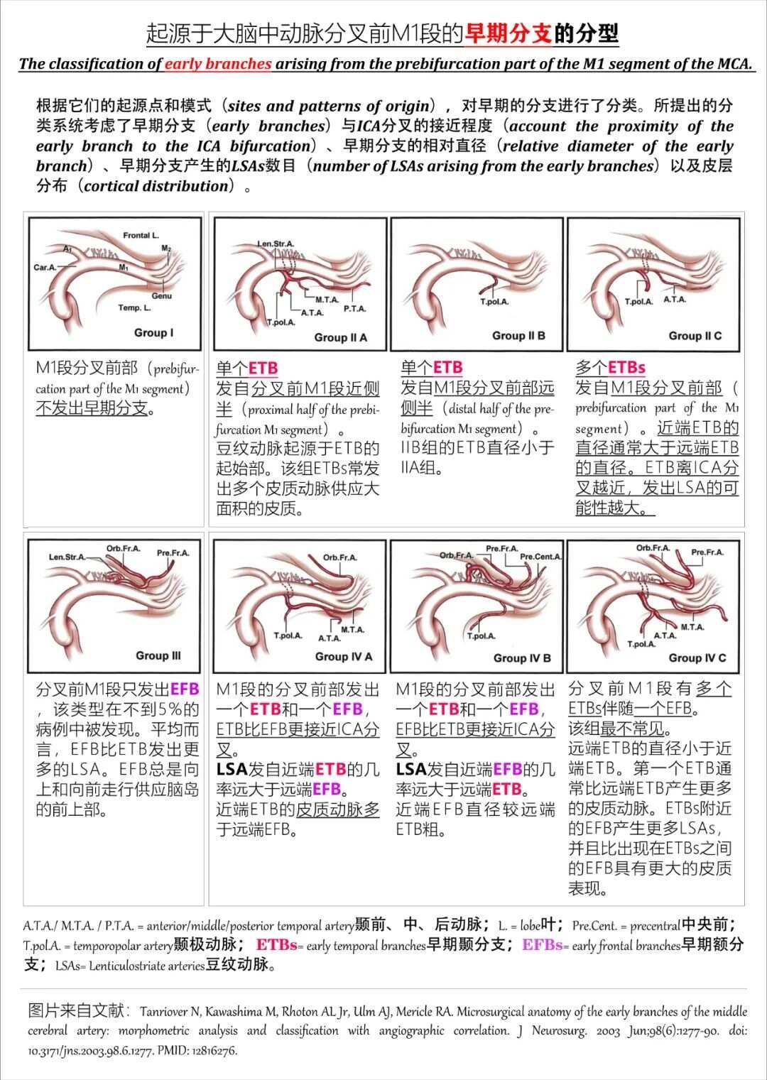 最全整理：脑动脉解剖、分段及供血区图谱