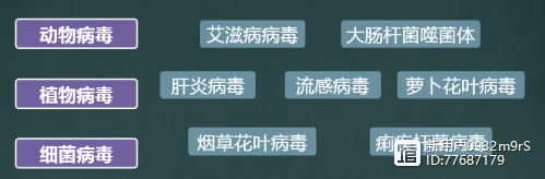 教學設計 | 八年級上冊《5-5-0 病毒》