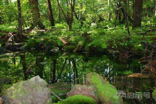 美麗中國-2776：吉林白石山國家森林公園