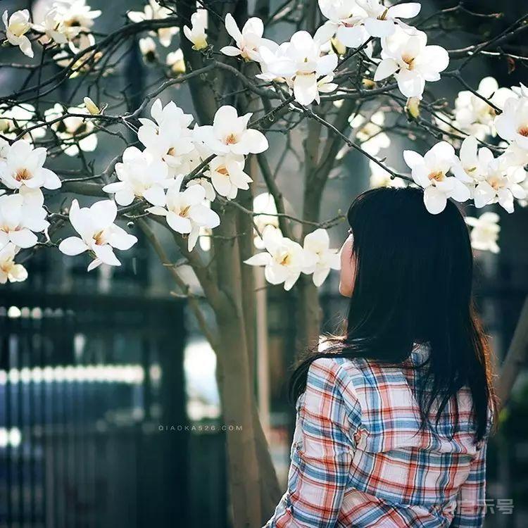 夜讀 | 歲月優美，走出自己風景