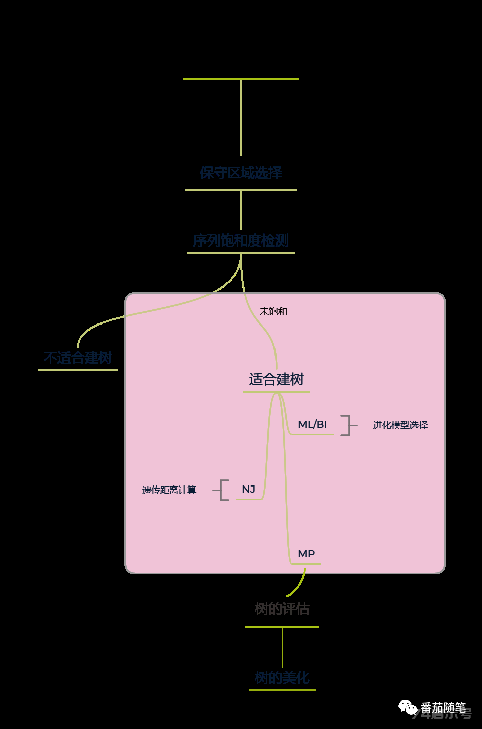 陪你學·生信十一、構建系統發育樹