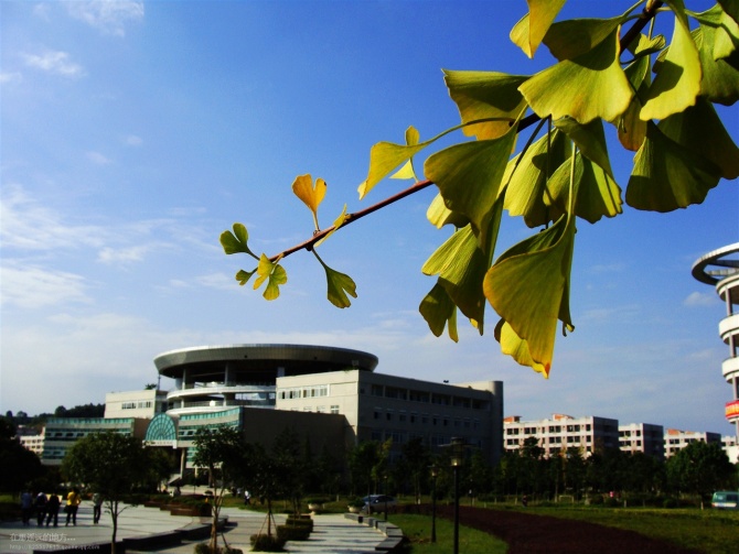 西南科技大學城市學院是公辦還是民辦